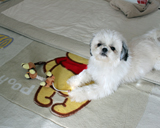 �͂������̎���