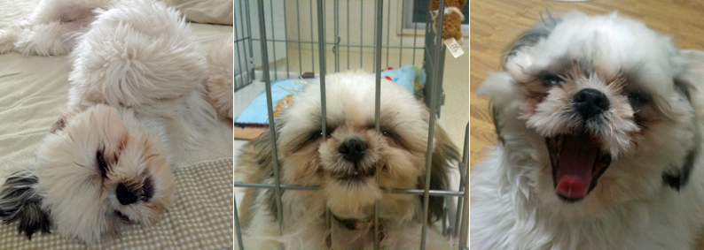 �x���x���x��