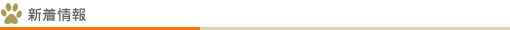 新着情報